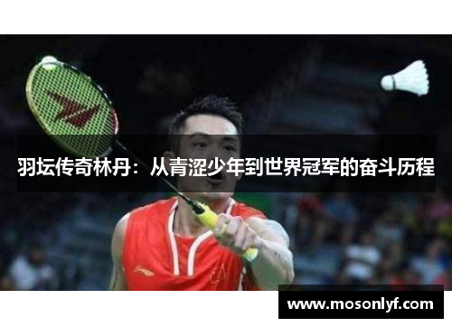 羽坛传奇林丹：从青涩少年到世界冠军的奋斗历程