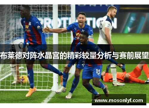 布莱德对阵水晶宫的精彩较量分析与赛前展望